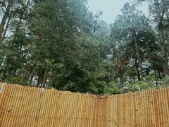 -竹上云想餐厅民宿