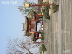 -西安曲江寒窑遗址公园
