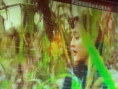 -上海星秀麦量贩KTV(张江商业广场店)