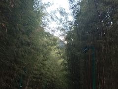 -蝴蝶泉公园