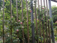 -凤来栖·净庭院·火锅(欧尚店)