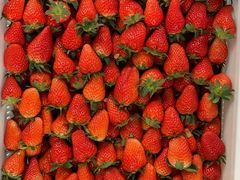 -江杨农产品批发市场