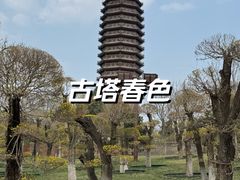 -西海子公园
