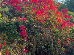 -莲花公园煎蟹·30年闽菜(火车站店)