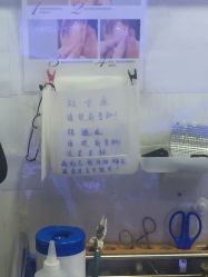 -花师傅