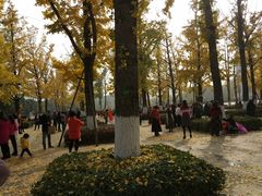 -百林公园-两江幸福广场