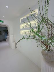 -安那般那皮肤年轻化ANAPANA