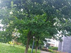 -湖北科技职业学院(关山校区)