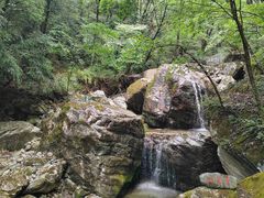 -牛背梁国家森林公园