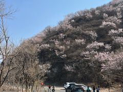 -妙峰山风景名胜区