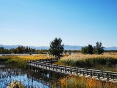 -野鸭湖国家湿地公园