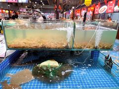 -和源祥·日照菜扛把子(万平口一店)