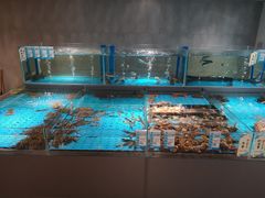 -金成潮菜博物馆(海珠湿地店)