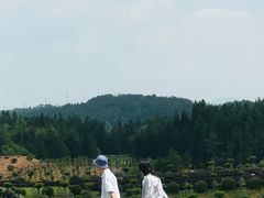 -刘伯温故里景区百丈漈