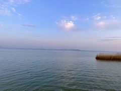 -贡湖湾湿地公园