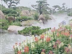 -罗红摄影艺术馆