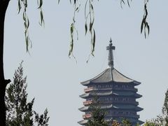 -永定河休闲森林公园