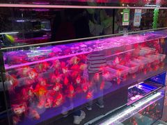 -双季花艺园艺市场(浦东店)
