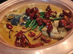 -柿合缘新京菜(国金中心商场店)