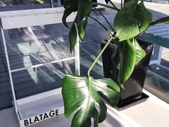 -BLATAGE COFFEE