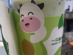 -一只酸奶牛(春熙路店)