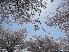 -苏州上方山国家森林公园