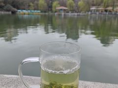 -绵阳人民公园(涪城区)