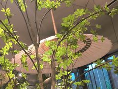 -春熙小馆(乘风庄店)