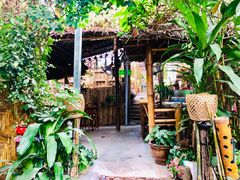 -Jungle Kitchen