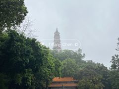 -顺峰山公园