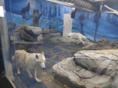 -梦幻海洋王国(吾悦广场张家港店)