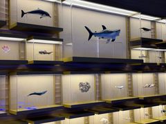 -上海中国航海博物馆