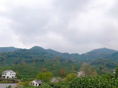 -龙井村