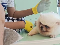 -怪兽屋·羊驼·猫咖·狗咖(俊华广场店)