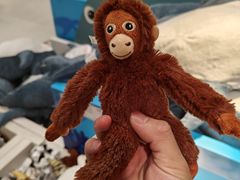 -宜家家居(高新商场店)