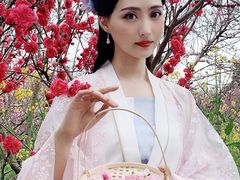 -南汇桃花村