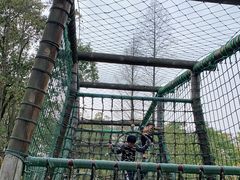 -上海滨江森林公园