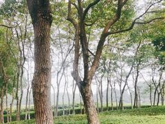 -白塘生态植物园