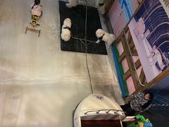 -郑州银基冰雪世界