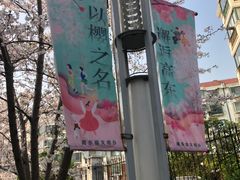 -高东镇樱花园