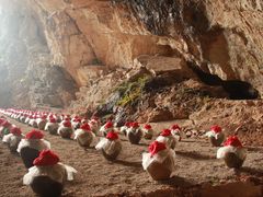 景点-九皇山景区