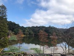 -广州市石门国家森林公园