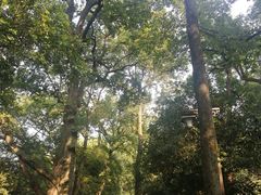 -楼外楼(玉泉店)