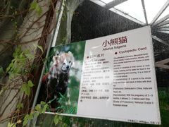 -灵玲国际马戏城