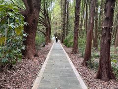 -同里国家湿地公园