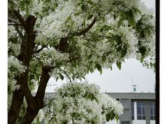-国家植物园
