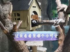 -海合安武汉极地海洋公园