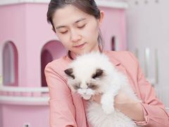 -青奢宠物·青奢猫舍