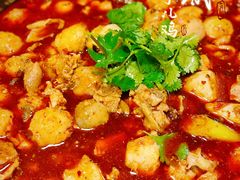 -绝城芋儿鸡(犀浦旗舰店)