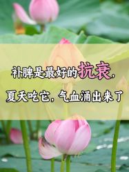 -雅曼妮spa美容养生